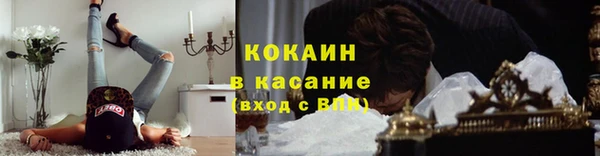 шишки Киренск