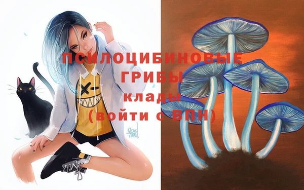 прущие крисы Абинск