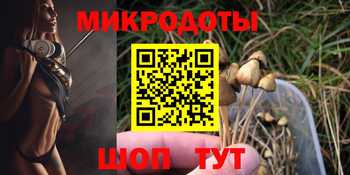 Галлюциногенные грибы Psilocybine cubensis  Вход с VPN  Галлюциногенные грибы GOLDEN TEACHER  Татарск 
